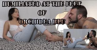 HUMILIATED AT THE FEET OF ORCHIDEA BLU