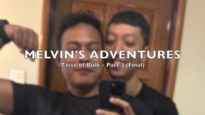 taste of bulk - part 3 (final)