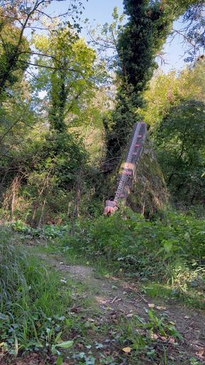 Flashing Ass Full Body Naked in Public Park