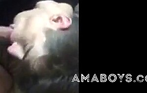 Passionate Blowjob by Paddy