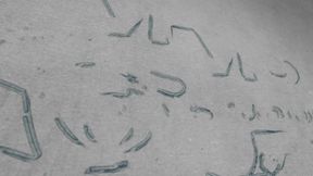 THE PUNISHING OF PIPER