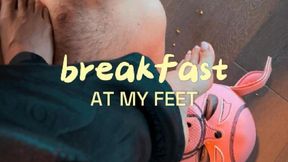 Breakfast at my feet