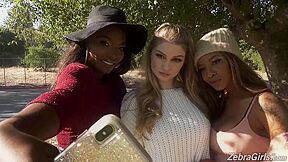 Daya Knight & September Reign & Bunny Colby - Zebra