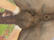 Big Stallion Horse Orgasm w/ Twink Boy Max (Furry Gay Sex) | Wild Life Furries