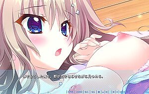 [(erotic game)] 9-nine miyako H-scene 1
