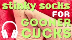 Stinky Socks for Gooner Cuck