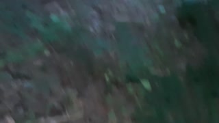 Pissed into my girlfriend's mouth in the forest, and then cum from her tongue - lesbian_illusion