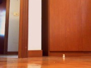 Your Italian giantess reduces you to dust in this magnificent video