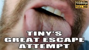 KingMarti : Tinys Great Escape Attempt - Giant Vore - Full HD 1080p
