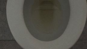 TOILET FULL OF GOLD