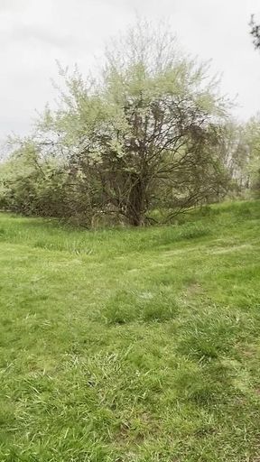 Jockstrap Park Tease: Muscular Asian Hunk Flexes, Fucks the Grass & Explodes in Cum