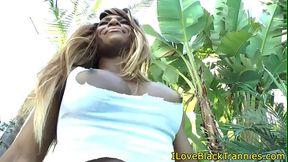 Ebony tranny asstoyed in outdoor action