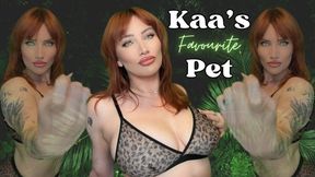 Kaa's Favorite Pet: The Selection