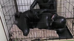 Trapped In Rubber Bitchsuit & Cage