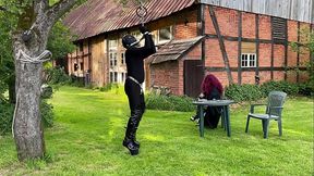 Metal Restraints Outdoor