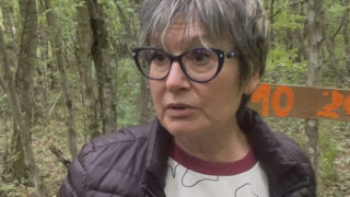 Namiętny anal na świeżym powietrzu z dziką kuguarą i jej kochankiem Adamem