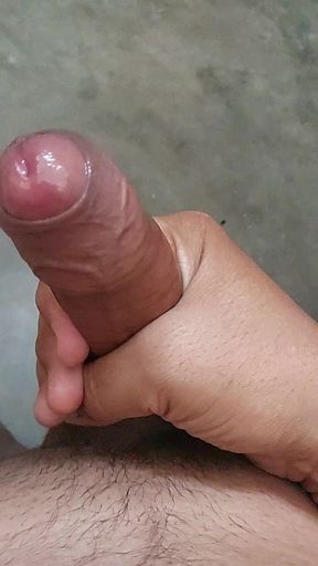 Showl Motions Video on Xhamstar Desi Dick