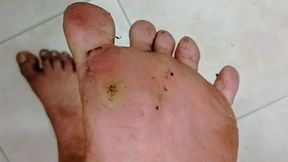 Extremely Dirty Unwashed Work Feet Before Shower – Filthy Sweaty Soles Close-Up