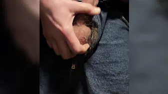 Hairy Daddy's Big Veiny Cock Out of Jeans Close Up