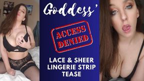 Goddess Lace and Sheer Strip Tease (480MP4)