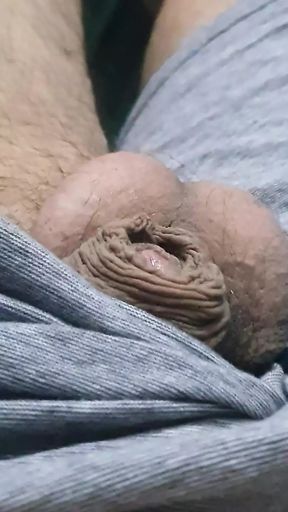 Step son pulled dick out while step mom painting his door with white