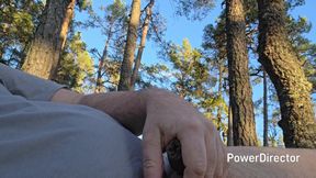 Swedish guy jerking off in the forest