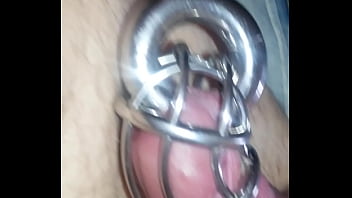 chastity cage