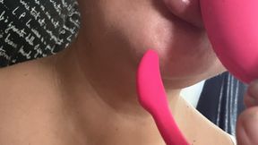 Lips licking flamingo