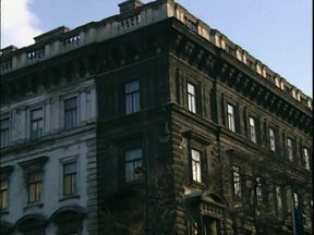 The Neighbor's Pussy