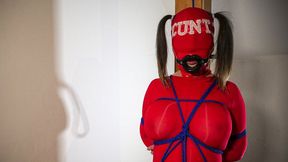 CHRISTMAS AT THE POLE