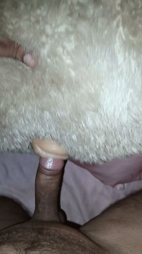 Fucking my teddy pusssy