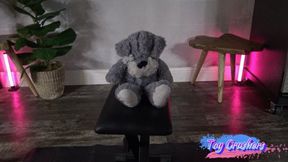 Teddy bear destruction2