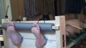 Naked bear tickled in stocks and on a rack