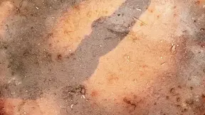 Magnificent babes get screwed in wild orgy