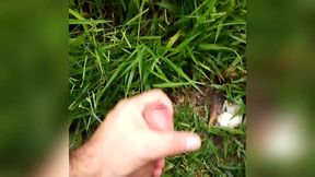 estava andado no parque um cara moreno me viu e me fez mamar e me fudeu gostoso.