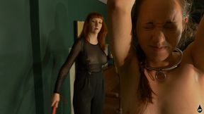 A New Year's Whipping - 720p MP4