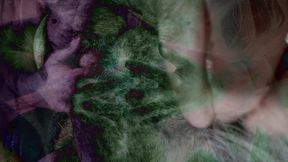 HairyPearo - The Full Set Parts 1, 2 & 3
