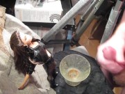 BBB preview: Paige Turnah "Black Hotties" (cumshot only no SloMo AVI highde