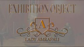 EXHIBITION OBJECT   Slave Bdsm Cage  Lady Amrapali  Mistress Domino Herrin
