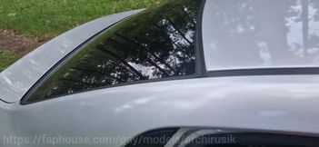 Extreme shock A puppy fucked on car hood watched by truckers raw bareback