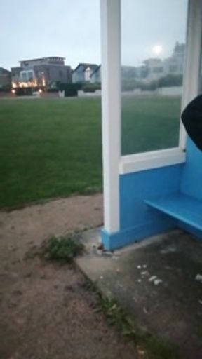 Public Urination Peeing In A Shelter