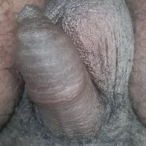 Small hairy cock