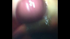 IMG 1463.MOV