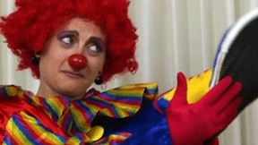 Kuffie's Dismay - MP4 Format