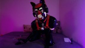 Neon Pup Tease - Obedient Play and Soft Control