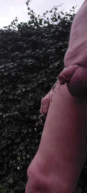 Another small uncut penis piss in the garden