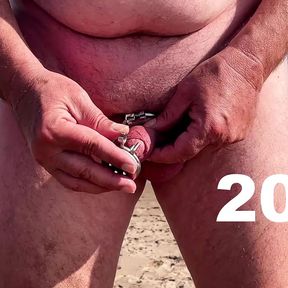 The evolution of the size of a chastity cage cock