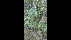 Frivolous Walk Ended with Blowjob
