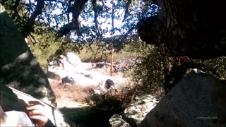 Teen Spunky Surprises Boyfriend in the Park  Outdoor Sex Adventures #5