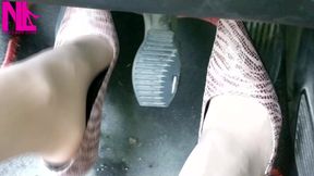 Revving in Zibra Pumps